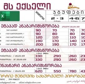 MS Excel ექსელი