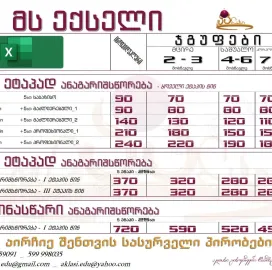 MS Excel ექსელი