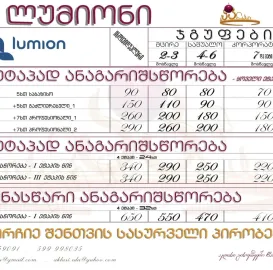 +ლუმიონის კურსი Lumion