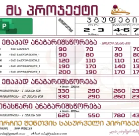 MS Project_პროჯექტი