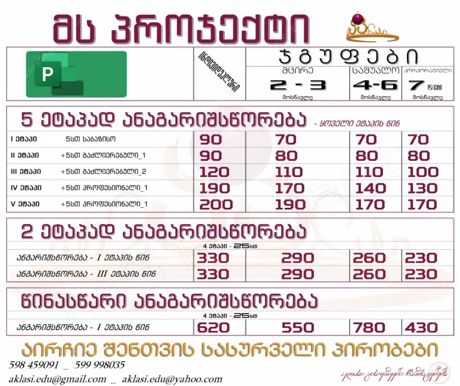 MS Project_პროჯექტი