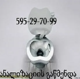 MILEBIS GAWMENDA 595 29 70 99 SAXLIS PIROBEBSHI