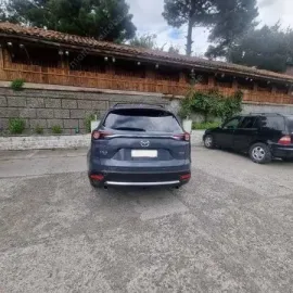 ავტომობილის მომსახურება გიდით