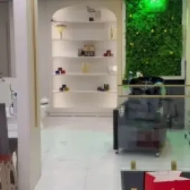 სრული მშენებლობა