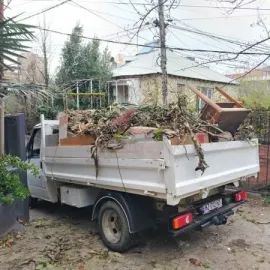 Ნაგვის გადაყრა/ძველი ავეჯის გადაყრა