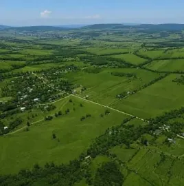 იყიდება ნაკვეთი თიანეთში