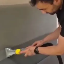 Avejis qimwmenda