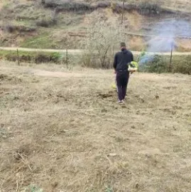 მებაღის მომსახურება