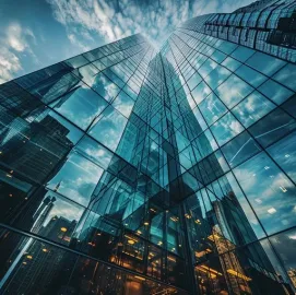 შუშების და ჩარჩოების წმენდა