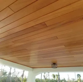 afshivkis xelosani rustavshi - 591004680