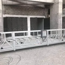 ვყიდი და ვაქირავებ ელექტრო კალათას ლულკას