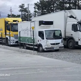 ტვირთის გადატანა