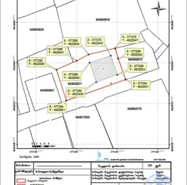 აზომვითი ნახაზები და ტოპოგრაფია მესტიაში