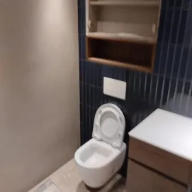 პროფესიონალური სარემონტო სამუშაოები