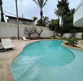 პროფესიონალური სარემონტო სამუშაოები