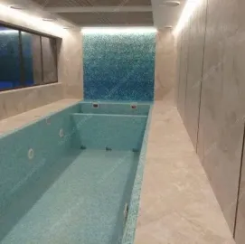 შიდა რემონტი