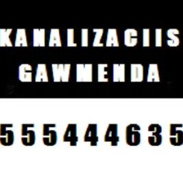 SANTEXNIKA - KANALIZACIIS GAWMENDA - 555444635