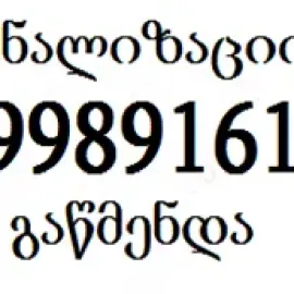 Santeqniki gldanshi 24 saati gamodzaxebit - 599891619