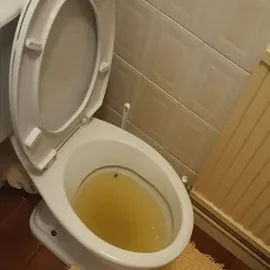 კანალიზაციის გაწმენდა სწრაფად - 557777806