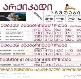 არქიკადის _ საშობაო კურსი _ ArchiCAD