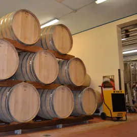 MASTER DH 62– ნესტგამწოვი – ნესტის ამომშრობი – საშრობი – ტენის ამომშრობი