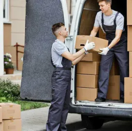 ტვირთის გადაზიდვა