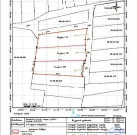 საკადასტრო და შიდა აზომვითი ნახაზები ლანჩხუთში