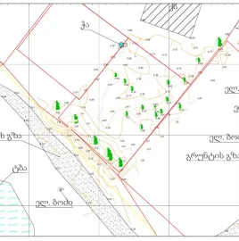 საკადასტრო და შიდა აზომვითი ნახაზები ქუთაისში