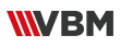 VBM